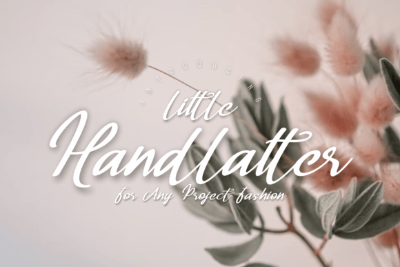 Handlatter Little: A Handwritten Font That Makes Your Brand Feel Thoughtful