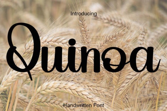 Quinoa Font: Elegant Handwritten Type for Small Business Branding